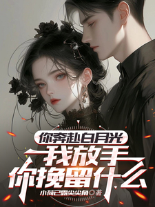 你奔赴白月光，我放手你挽留什么楚轩陈冰，你奔赴白月光，我放手你挽留什么小说免费阅读