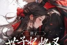 世子,世子妃她又开始扮可怜了小说有没有完结版在线?-有文学