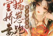 施采芙谢凛昭小说在线章节免费阅读（外室娇妾揣崽跑路，世子爷请自重无弹窗无删减）-有文学