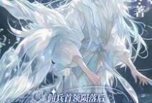 求推荐可以免费阅读佣兵首领陨落后，被小人鱼救赎了小说的网站-有文学