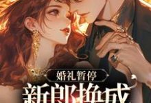 白月光婚约作废,机长趁机上位这本小说完结了吗?免费查看最新章节-有文学