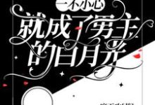 完结版《【快穿】一不小心就成了男主的白月光》在线免费阅读-有文学