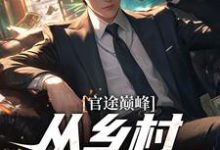 韩景叶玉梅小说叫什么（官途巅峰，从乡村书记崛起！完整版免费阅读）-有文学