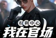 《权利中心：我在官场逆风翻盘》小说免费阅读完整版-有文学