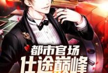 都市官场：仕途巅峰，从公务员开始免费阅读，都市官场：仕途巅峰，从公务员开始章节在线阅读-有文学