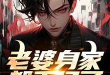 老婆身家都千亿了，我该不该躺？小说有没有完整的免费版本在线阅读？-有文学