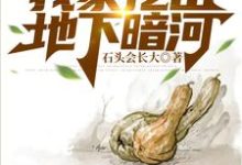 已完结小说《七零农村大旱，我家挖出地下暗河》最新章节-有文学
