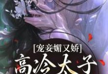 宠妾媚又娇,高冷太子为她失了魂小说的免费电子版在哪里可以下载或阅读?-有文学