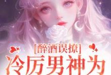 小说《醉酒误撩!冷厉男神为她沦陷情海》完整版章节免费阅读-有文学