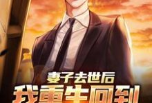 《妻子去世后,我重生回到高考那年》全集免费在线阅读(吴为)-有文学