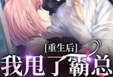 重生后,我甩了霸总享单身夜小说全文阅读需要付费吗?寻找免费资源-有文学