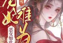 宠妃难为，恶女如此多娇小说的无弹窗阅读体验，寻找免费阅读网站-有文学