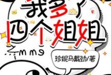 小说《老爸二婚女总裁，我多了四个姐姐》章节免费阅读-有文学