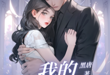 已完结小说《我的萌萌女友》章节在线阅读-有文学