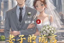 妻子的谎言番外篇小说最新更新在哪里？免费在线看-有文学