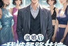 叶修远白若雪小说在线章节免费阅读(离婚后我被各路女神撩疯了!无弹窗无删减)-有文学