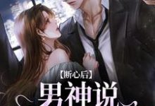 断心后，男神说他又上头了小说完结版章节免费阅读-有文学