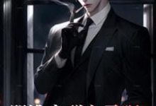 江天小说骂谁害群之马呢,叫我警神在线阅读章节-有文学