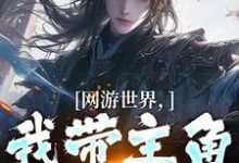 网游世界，我带主角勇夺MVP免费阅读，网游世界，我带主角勇夺MVP安迪加顿-有文学