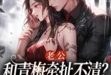 《老公和青梅牵扯不清？我放你自由！》全集免费在线阅读（温时晞傅九亊）-有文学