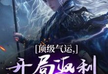 秦谦安妙寒小说顶级气运，开局返利助我登仙在线阅读章节-有文学