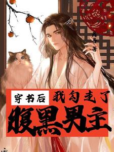 穿书后我勾走了腹黑男主舒晚，穿书后我勾走了腹黑男主在线无弹窗阅读