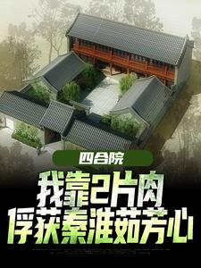 《四合院：我靠2片肉俘获秦淮茹芳心》小说免费阅读完整版