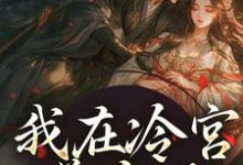 《我在冷宫养皇子》全集免费在线阅读（山栀司怀铮）-有文学