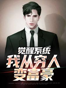 江野小说完结版在线阅读，觉醒系统：我从穷人变富豪免费看