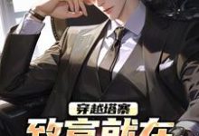 林恒沈幼楚小说穿越塔寨，致富就在一瞬间在线阅读章节-有文学