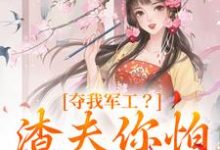 《夺我军工？渣夫你怕是没命享》完整版小说免费阅读-有文学