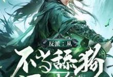 哪里能找到反派：从不当舔狗开始小说的全部章节？-有文学