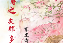 女尊之夫郎多妖娆小说完结版章节免费阅读-有文学