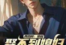 四合院：傻柱，娶不到媳妇找我干啥小说有没有完结版在线？-有文学