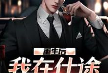 重生后,我在仕途一路狂飙小说阅读,重生后,我在仕途一路狂飙完结版-有文学