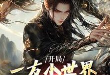 开局一方小世界，我靠系统逆袭免费阅读，开局一方小世界，我靠系统逆袭章节在线阅读-有文学