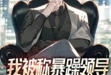 我被称暴躁领导,可人人都爱护我!免费阅读,我被称暴躁领导,可人人都爱护我!章节在线阅读-有文学