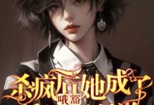 叶邢舒司度小说完结版在线阅读，哦豁！杀疯后她成了反派黑月光！免费看-有文学