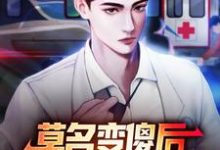 四柱小说《莫名变傻后,我成了乡村团宠》完整版免费阅读-有文学