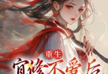 宜修小说免费阅读完整版-有文学