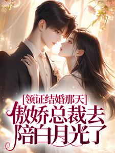 《领证结婚那天，傲娇总裁去陪白月光了》小说大结局免费试读 墨承璟路桐小说