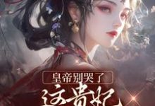 皇帝别哭了，这贵妃我不稀罕当免费阅读，皇帝别哭了，这贵妃我不稀罕当章节目录-有文学