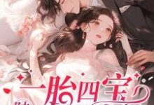 完结版《一胎四宝，陆总用力过猛》章节目录在线阅读-有文学