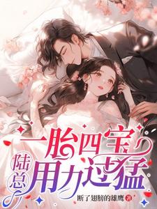 完结版《一胎四宝，陆总用力过猛》章节目录在线阅读