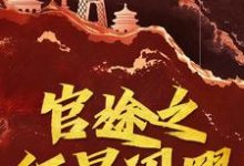 夏正华小说叫什么（官途之红星闪耀完整版免费阅读）-有文学