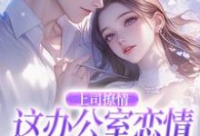 完结版《上司撩情,这办公室恋情我谈定了》在线免费阅读-有文学