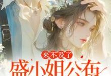 盛栀意小说免费阅读完整版-有文学