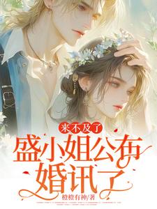 盛栀意小说免费阅读完整版