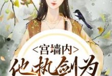 小说《宫墙内，他执剑为我杀出血路》章节免费阅读-有文学