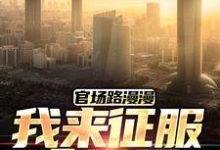 已完结小说《官场路漫漫,我来征服全世界》章节免费阅读-有文学